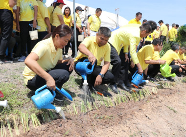 ร่วมกิจกรรมโครงการ 72 สายน้ำพัฒนาอย่างยั่งยืน พารามิเตอร์รูปภาพ 3